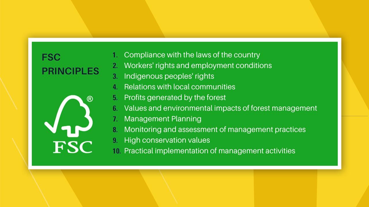 FSC certification principles and benefits including ethical sourcing, forest protection, and sustainability.